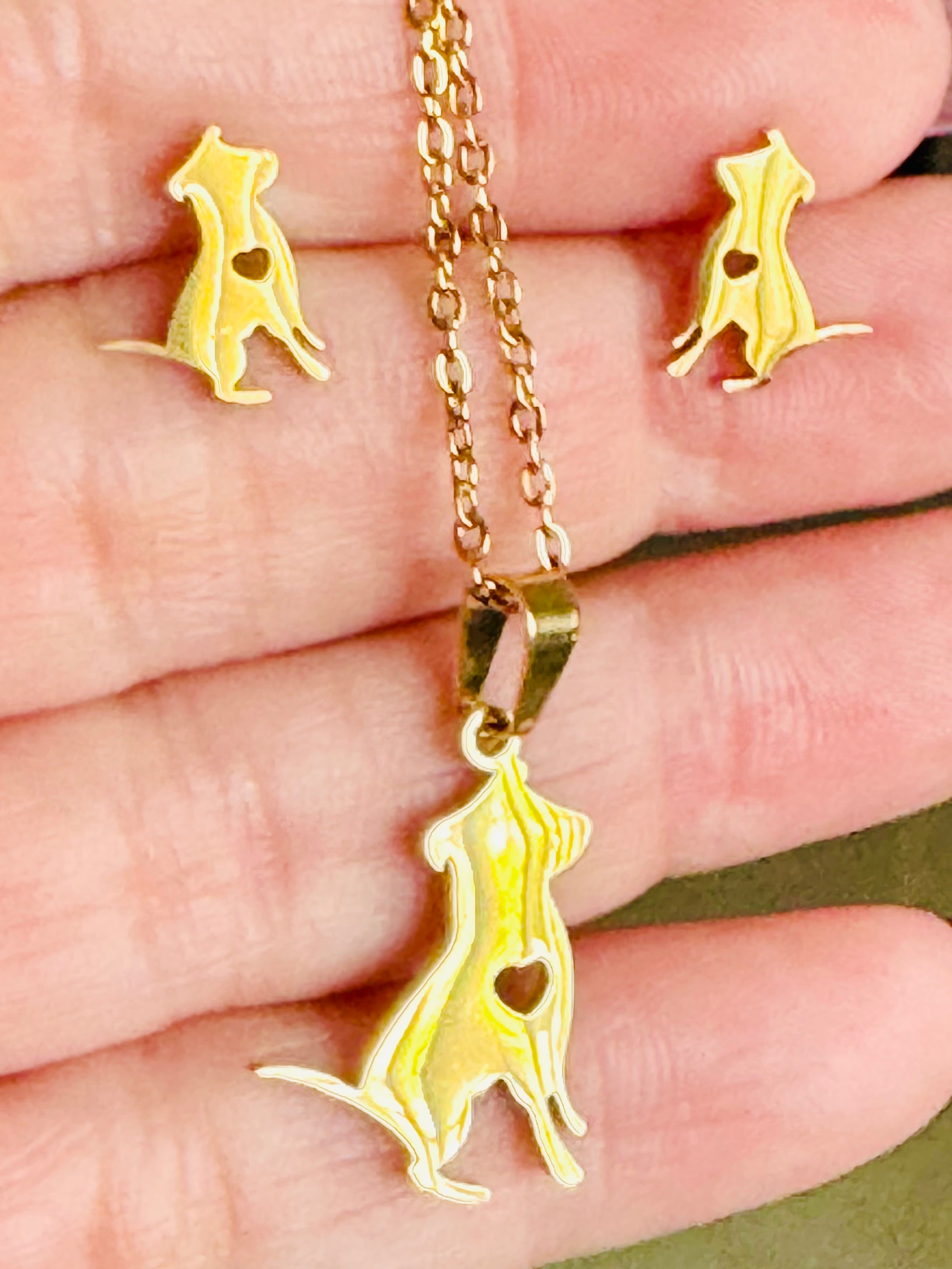 Set de collar y aretes con perro