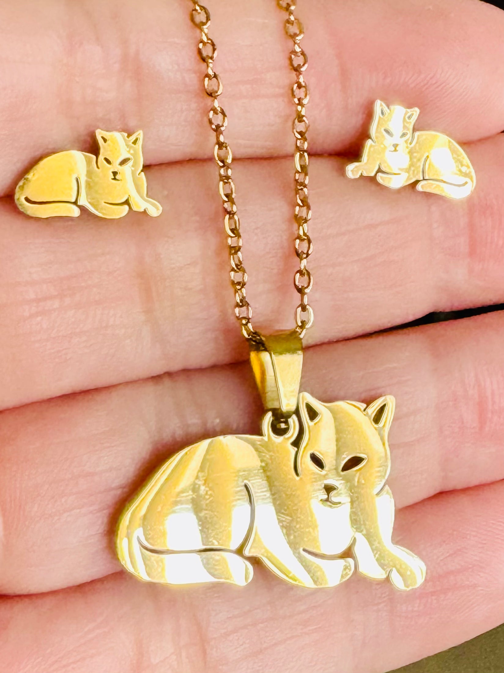 Set de collar y aretes con gato.
