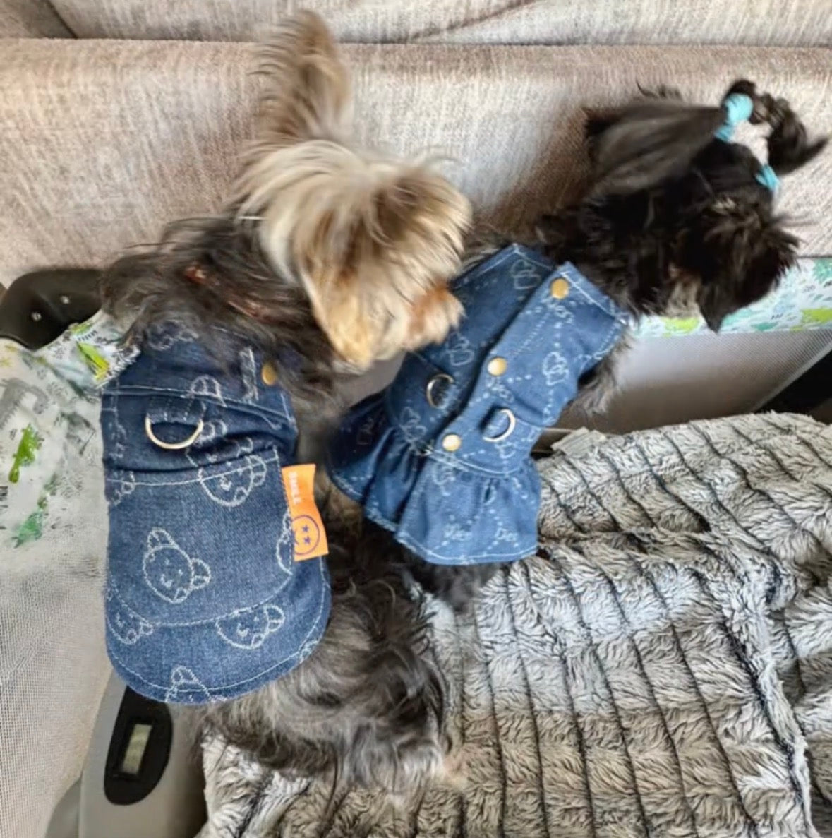 Camisa de mezclilla para mascota