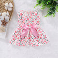 Vestido para mascota con lazitos para el pelo.