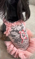 Vestido para mascota estilo bailarina con lazitos para el pelo.