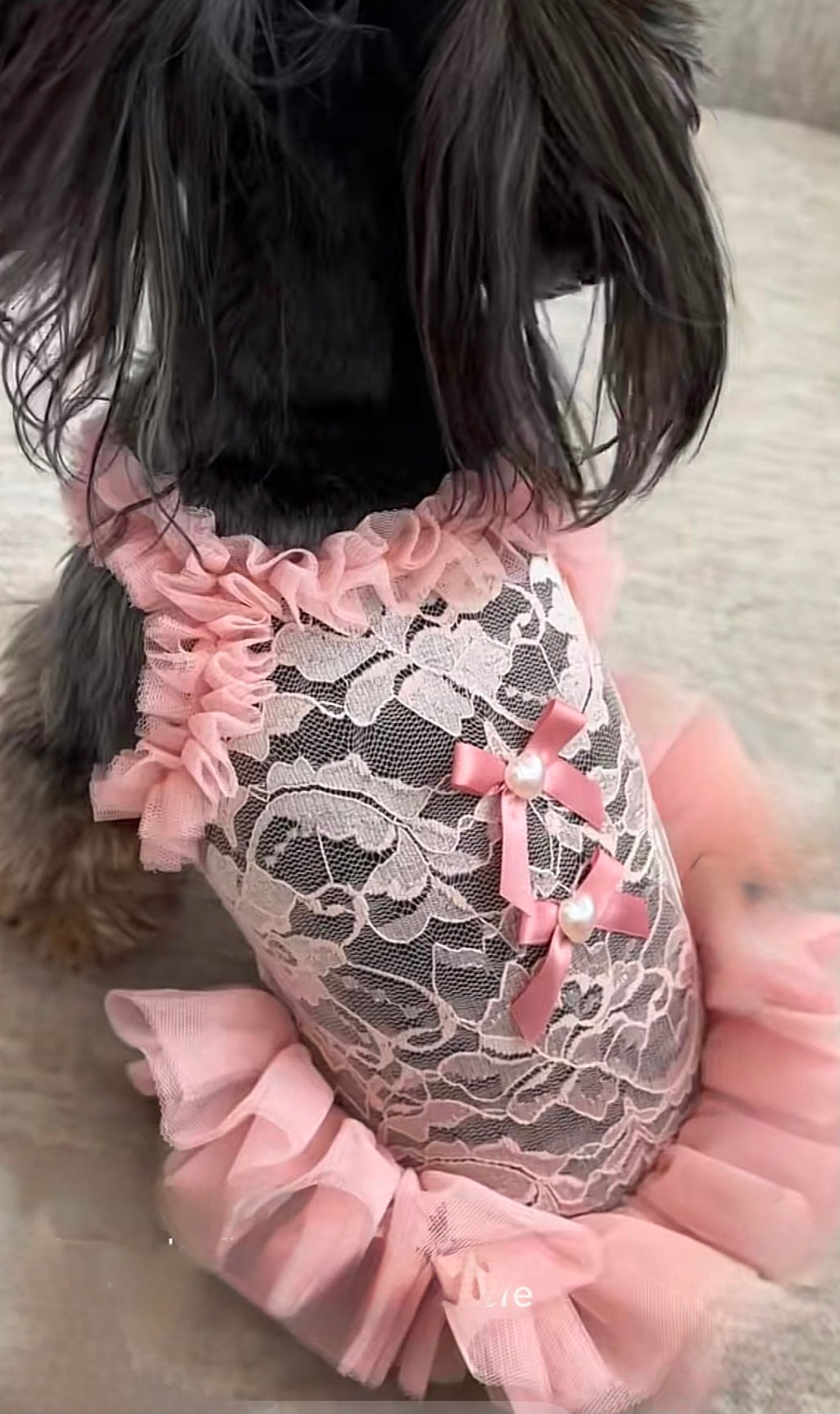Vestido para mascota estilo bailarina con lazitos para el pelo.
